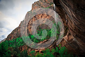 Emerald Pool Falls, Zion National Park, Utah