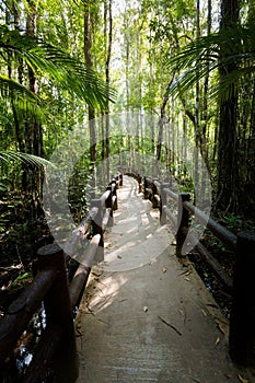 Emerald Pool National Park Krabi