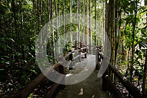 Emerald Pool National Park Krabi