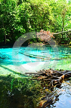 Emerald pool one of destination