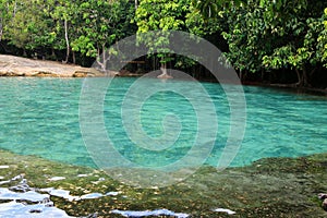 Emerald Pool (Sa Morakot) in Krabi photo