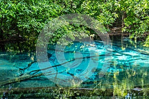 Emerald Pool Sra Morakot Blue Pool or Tha Pom Klong Song Nam at Krabi Province, Thailand.