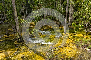 Emerald Pool Sra Morakot in Krabi province, Thailand.