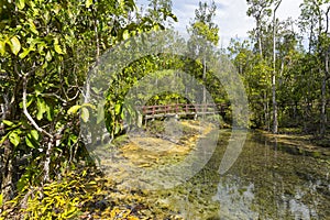 Emerald Pool Sra Morakot in Krabi province, Thailand.