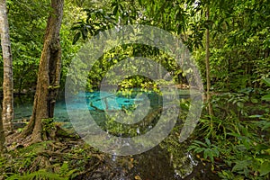 Emerald Pool Sra Morakot in Krabi province, Thailand.