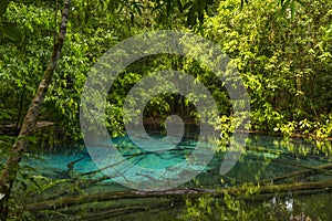 Emerald Pool Sra Morakot in Krabi province, Thailand.