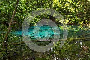 Emerald Pool Sra Morakot in Krabi province, Thailand.