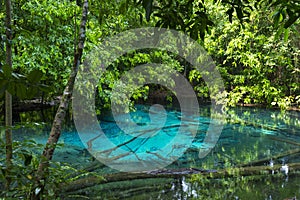 Emerald Pool Sra Morakot in Krabi province, Thailand.