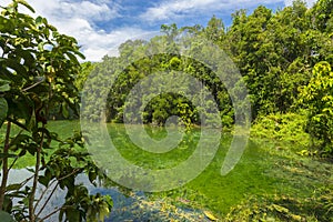 Emerald Pool Sra Morakot in Krabi province, Thailand.