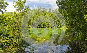 Emerald Pool Sra Morakot in Krabi province, Thailand.