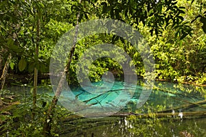 Emerald Pool Sra Morakot in Krabi province, Thailand.