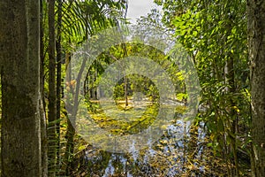 Emerald Pool Sra Morakot in Krabi province, Thailand.