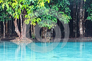 Emerald Pool (Sra Morakot) Krabi province , Thailand.