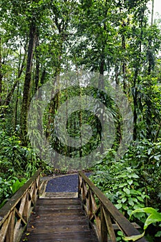 The Emerald Pool Trail