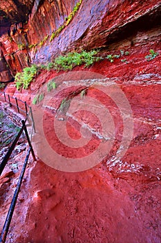 Emerald Pool Trail in Utah