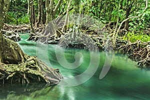 Emerald Pool is unseen pool in mangrove forest at Krabi in Thailand