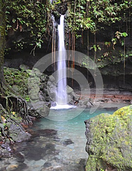 Emerald pool and waterfall in Dominica