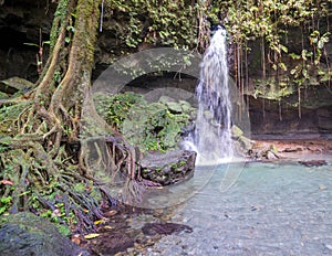 Emerald pool waterfall in Dominica - UNESCO World Heritage Site