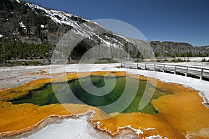 Emerald pool in yellowstone national park