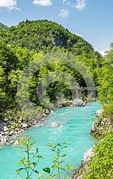 Emerald river surrounded by lush greenery on sunny day. Soca, Kobarid, Slovenia.