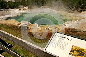 Emerald Spring