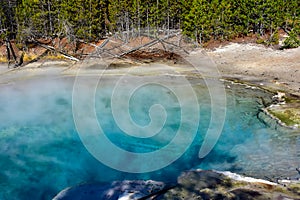 Emerald Spring at Yellowstone National Park