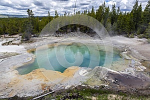 Emerald Spring at hot volcanic pool in Yellowstone National Park