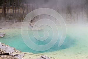 Emerald spring at Norris Geyser Basin