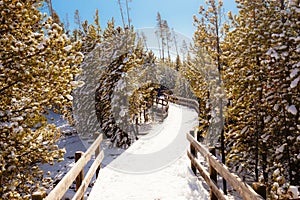 Emerald Spring at Norris Geyser Basin trail area, during winter in Yellowstone National Park, Wyoming