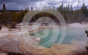 Emerald Spring in Norris Geyser Basin of Yellowstone National Park Back Basin Trail