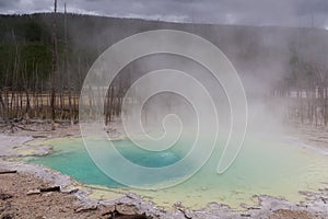 Emerald spring at Norris Geyser Basin