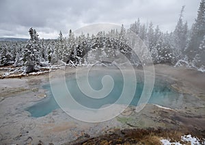 Emerald Spring in Norris Geyser Basin of Yellowstone