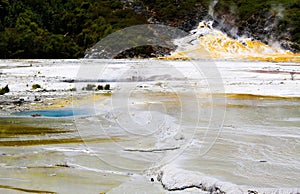 Emerald terrace: View on white plain sinter terrace with clear blue steaming hot pool