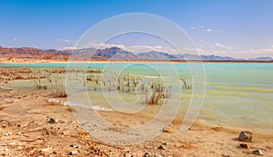 Emerald water of Cristal Reservoir at Ash Meadows National Refuge.Nevada.USA