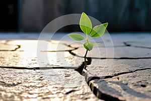 Emergence of New Life: Young Green Plant Breaking Through Stone Cracks - Generative AI