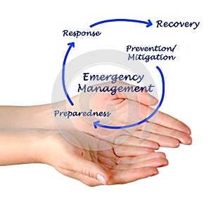 Emergency Management Cycle