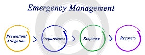 Emergency Management Cycle