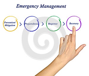 Emergency Management Cycle