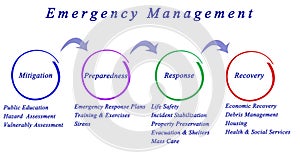 Emergency Management process