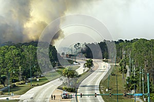 Emergency service firetrucks extinguishing wildfire burning in Florida jungle woods. Fire department vehicles trying to