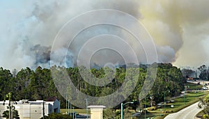 Emergency service firetrucks extinguishing wildfire burning in Florida jungle woods. Fire department vehicles trying to