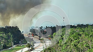 Emergency service helicopter and firetrucks extinguishing wildfire burning in Florida jungle woods. Police department