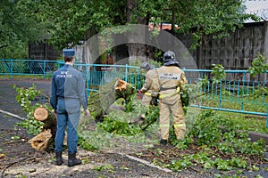 Emergency workers clear the road from fallen after a storm the old tree. Saint Petersburg