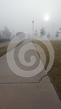 Emerging From the Mist