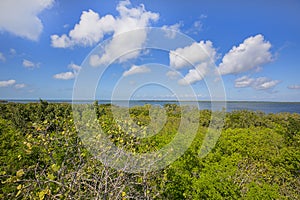 Emerson Point Preserve High View Of Horizon Over The Gulf of Mexico