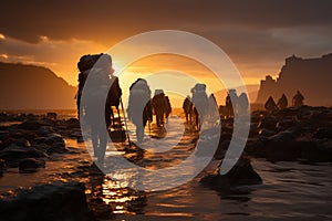 Emigrants\' silhouettes forging ahead on their arduous journey photo