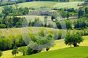 Emilia landscape photo