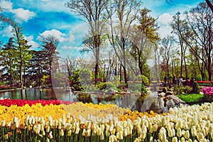 Emirgan Park, Istanbul