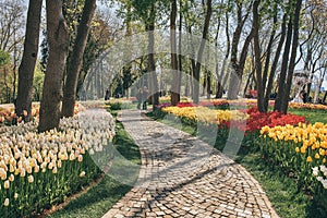 Emirgan Park, Istanbul