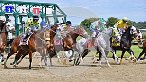 Racing on Pennsylvania Derby Day